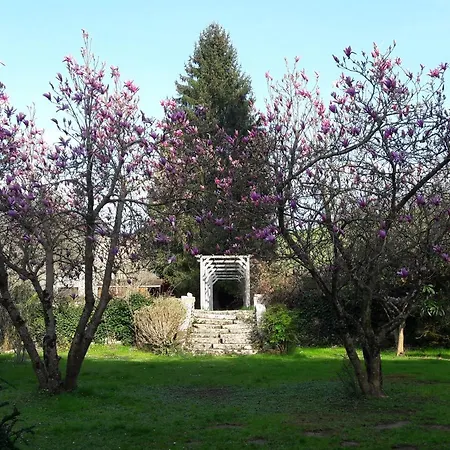 Chambres Et Table D'hotes La Billebaude Penzion Saint-Pé-de-Bigorre